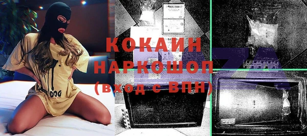 шишки Инсар