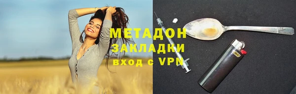 шишки Инсар