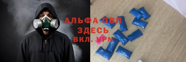 твердый Абаза