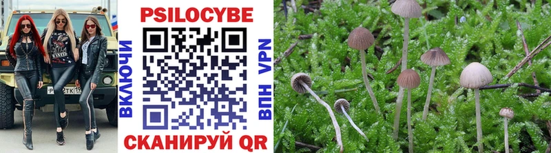 купить наркоту  Россошь  Галлюциногенные грибы Magic Shrooms 