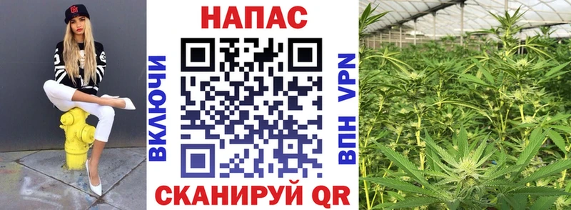 Шишки марихуана марихуана  купить наркоту  Россошь 